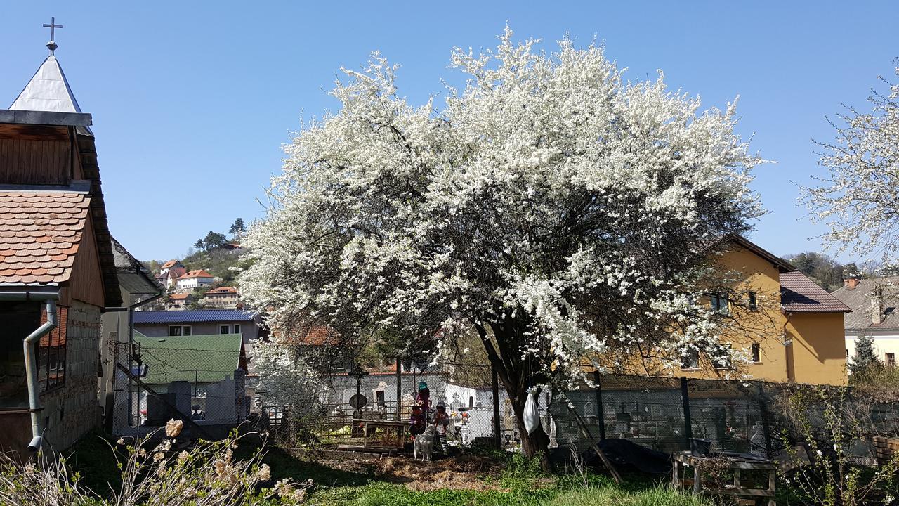 Mountain Tale Hostel Brasov Exterior photo