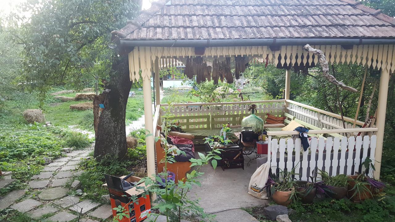 Mountain Tale Hostel Brasov Exterior photo