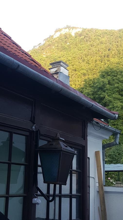 Mountain Tale Hostel Brasov Exterior photo