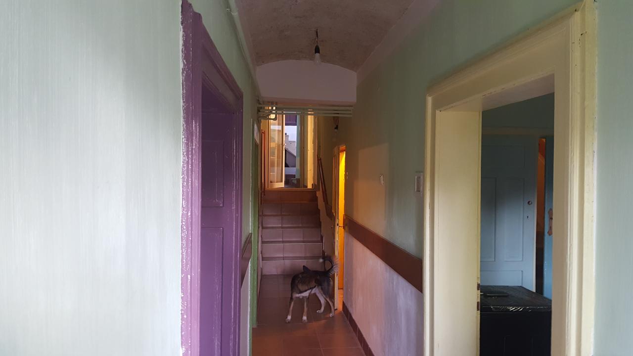 Mountain Tale Hostel Brasov Exterior photo