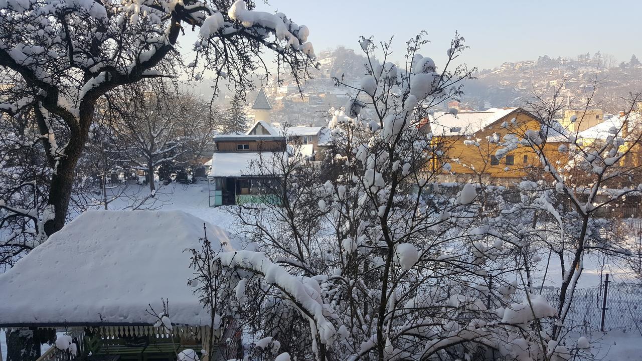 Mountain Tale Hostel Brasov Room photo